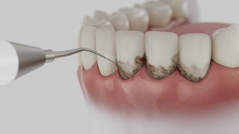 Reliable Dental contractor in Sylvania, GA by Dentist Open Now